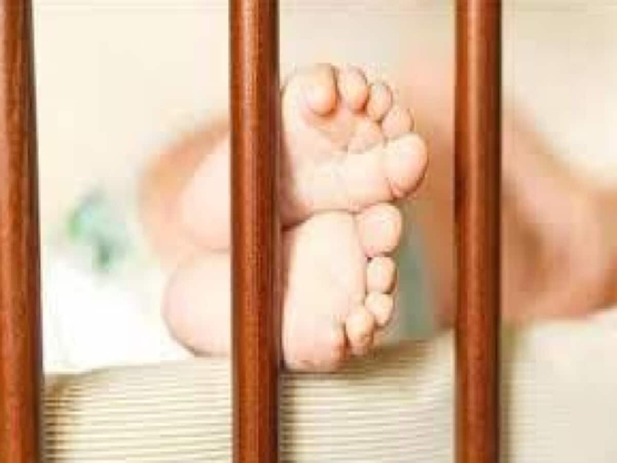 राजस्थान में एक घर से मिलीं तीन लाशें, 2 साल की बच्ची की हालत गंभीर, क्या है पूरा मामला? राजस्थान में एक घर से मिलीं तीन लाशें, 2 साल की बच्ची की हालत गंभीर, क्या है पूरा मामला?