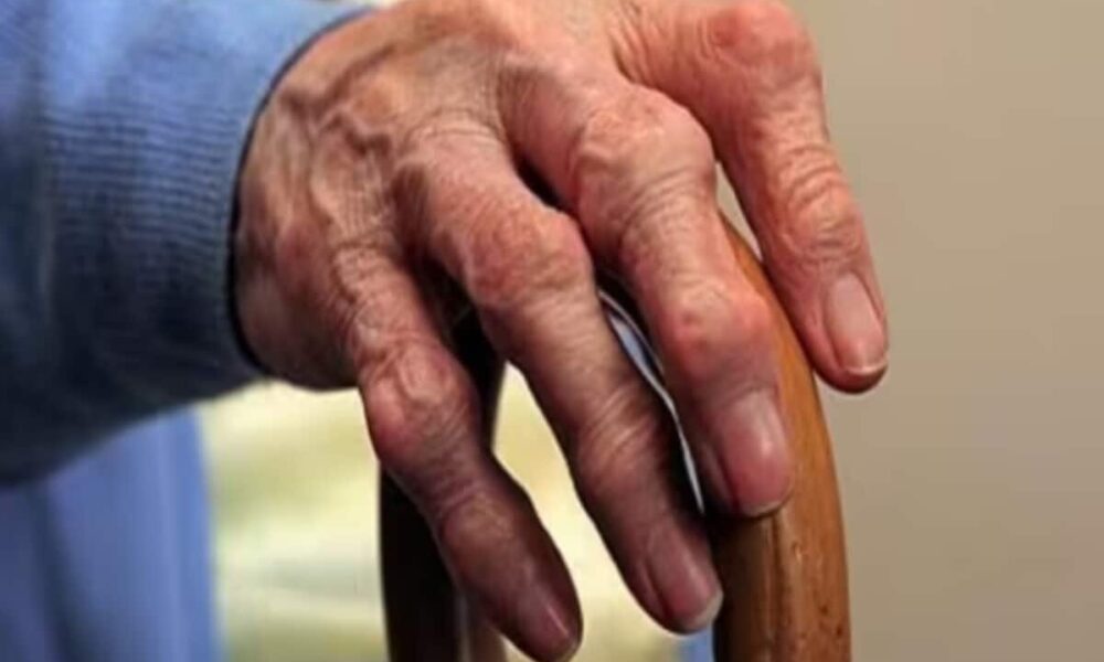 people above 85 years of age will be able to vote through postal ballot in lok sabha elections apply