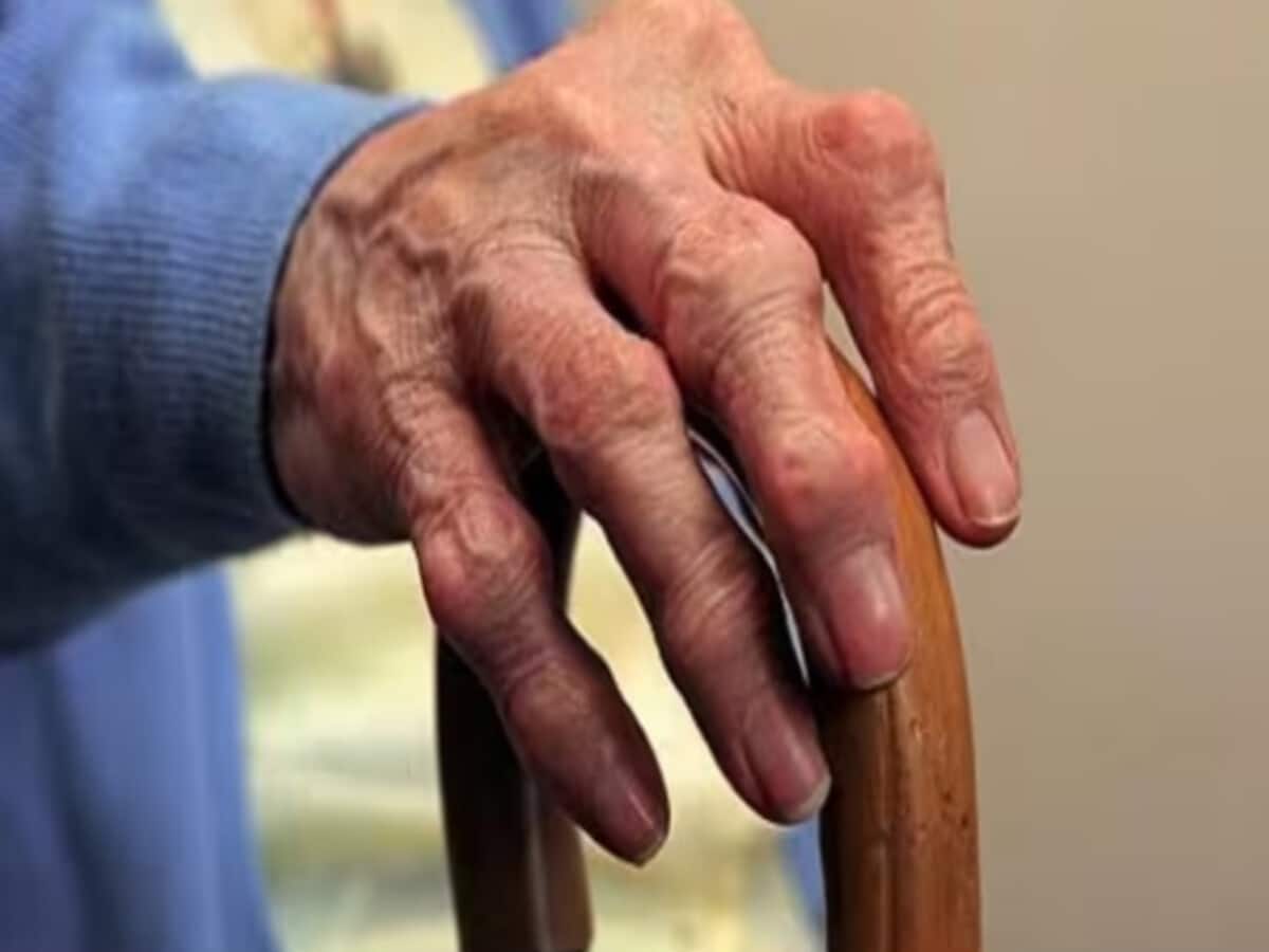 people above 85 years of age will be able to vote through postal ballot in lok sabha elections apply people above 85 years of age will be able to vote through postal ballot in lok sabha elections apply