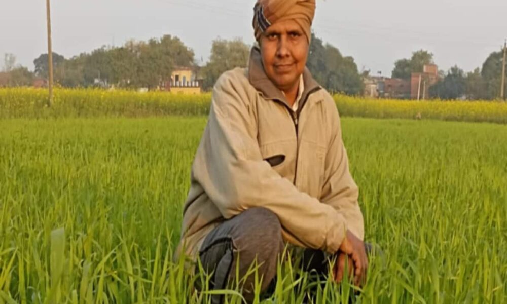 HC ने दी राहत, रियायती दर पर पॉलीहाउस का रास्ता साफ; किसानों को क्या होगा फायदा