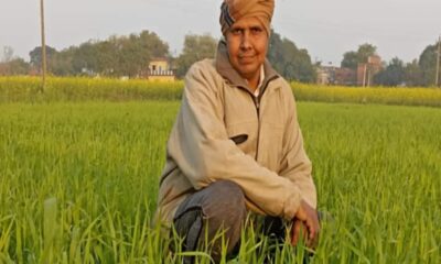 HC ने दी राहत, रियायती दर पर पॉलीहाउस का रास्ता साफ; किसानों को क्या होगा फायदा