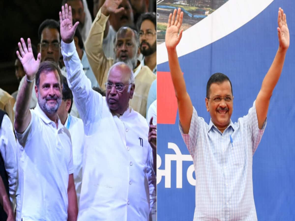 AAP and Congress will conduct joint campaign during Lok Sabha Election 2024 in Delhi AAP and Congress will conduct joint campaign during Lok Sabha Election 2024 in Delhi