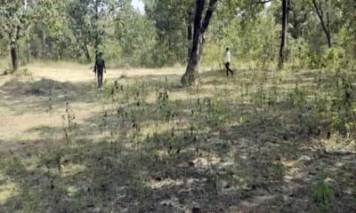 छत्तीसगढ़ में बड़ा एनकाउंटर, मुठभेड़ में मारे गए दो नक्सली; सर्च ऑपरेशन तेज