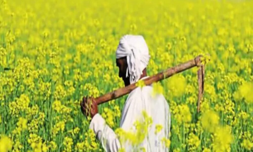 पीएम किसान सम्मान स्कीम में पकड़ा गया घोटाला! छत्तीसगढ़ के एक ही गांव में करोड़ों का घपला