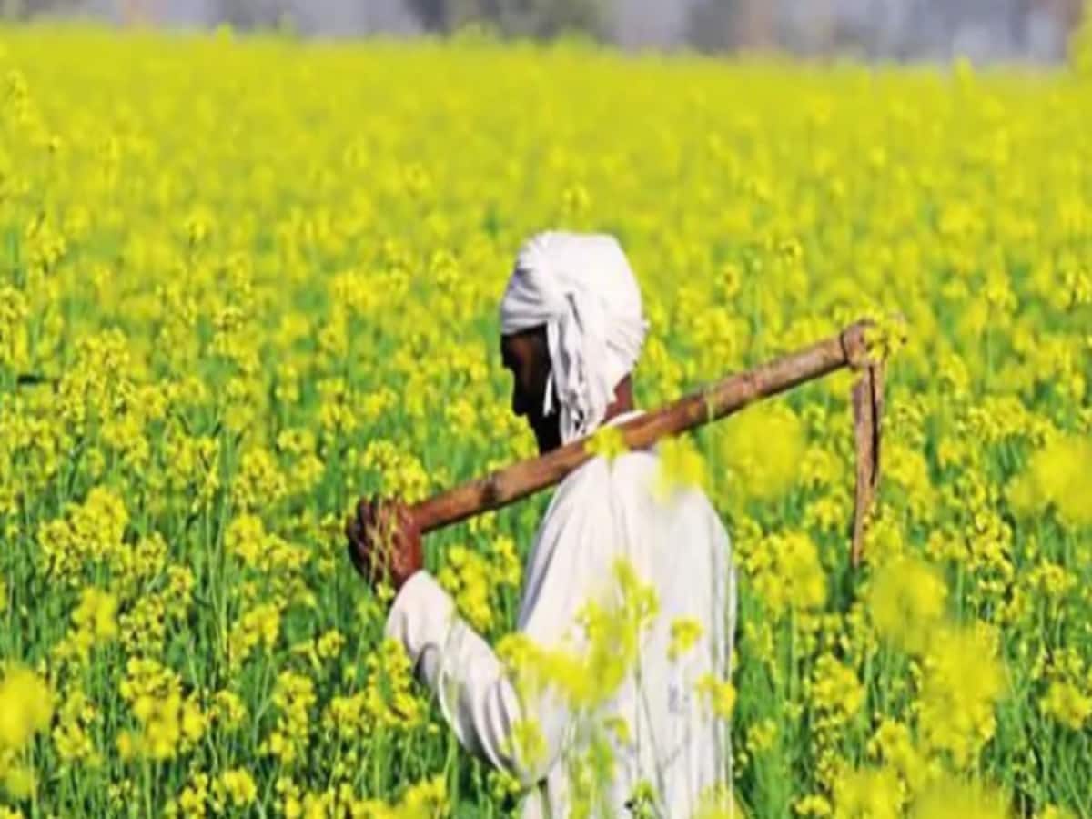 पीएम किसान सम्मान स्कीम में पकड़ा गया घोटाला! छत्तीसगढ़ के एक ही गांव में करोड़ों का घपला पीएम किसान सम्मान स्कीम में पकड़ा गया घोटाला! छत्तीसगढ़ के एक ही गांव में करोड़ों का घपला