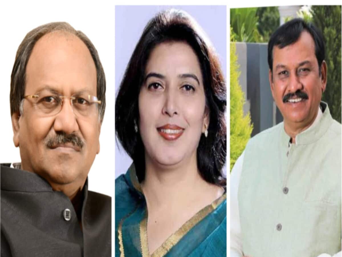 छत्तीसगढ़ की 11 लोकसभा सीट में सिर्फ 2 सांसदों को मिला मौका, 7 का कटा टिकट, 3 महिलाओं को बनाया प्रत्याशी छत्तीसगढ़ की 11 लोकसभा सीट में सिर्फ 2 सांसदों को मिला मौका, 7 का कटा टिकट, 3 महिलाओं को बनाया प्रत्याशी