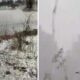 कैसे कश्मीर की तरह बदलने लगा छत्तीसगढ़ का बस्तर; बर्फ के ओले से ढंक गई सड़क