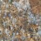 madhya pradesh mausam ka hal rainfall alert over madhya pradesh weather update