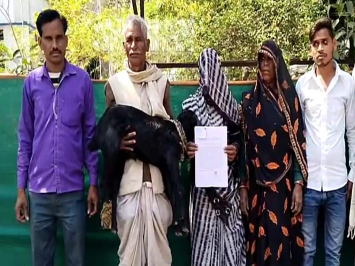 गोद में बकरी लेकर एसपी ऑफिस क्यों पहुंचा पूरा परिवार, बताया जान को खतरा गोद में बकरी लेकर एसपी ऑफिस क्यों पहुंचा पूरा परिवार, बताया जान को खतरा