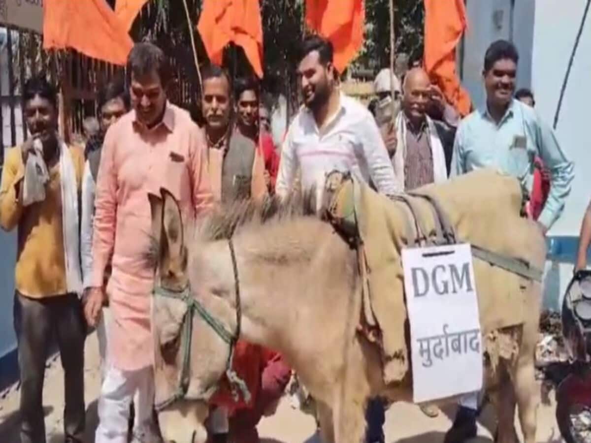 गधे पर DGM का नेम प्लेट लगा क्यों हुआ प्रदर्शन, बिजली कर्मचारी क्यों हैं नाराज