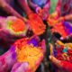 Lok Sabha Elections 2024 which color to play on holi for win know color according to zodiac sign