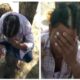 जूते से पीटा, सिर मुंडवाया और आधी मूंछ काट दी; पेशाब भी पिलाया, 3 आरोपी अरेस्ट