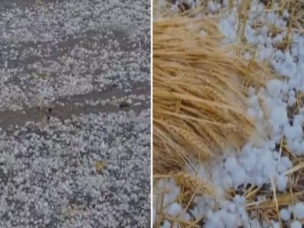 rajasthan weather forecast imd yellow alert for hailstorm and heavy rain in rajasthan rajasthan weather forecast imd yellow alert for hailstorm and heavy rain in rajasthan