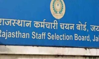 RSMSSB Result: Final result and cutoff marks of Rajasthan Livestock Assistant Recruitment 2022 released – RSMSSB Result: राजस्थान पशुधन सहायक भर्ती 2022 का फाइनल रिजल्ट और कटऑफ मार्क्स जारी, Education News