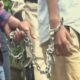 समलैंगिक दोस्तों ने ओरल सेक्स के लिए डाला दबाव, इनकार पर कर डाली हत्या