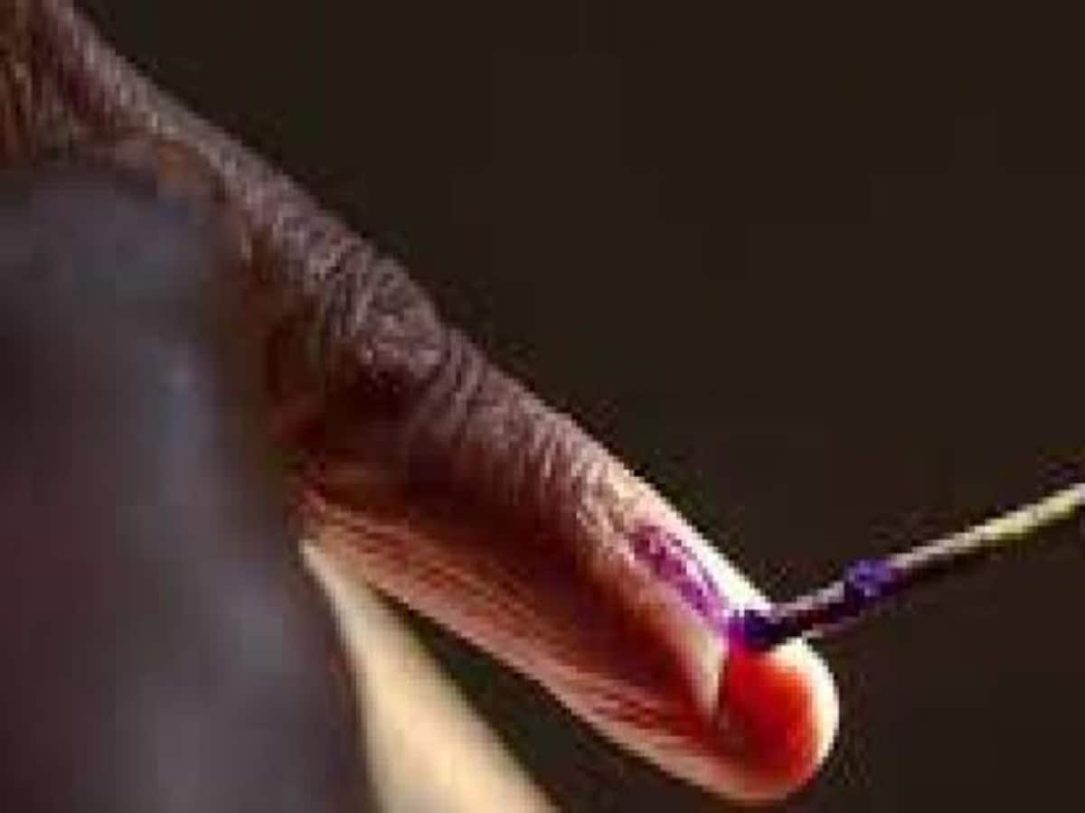 Gwalior seat lok sabha election date 2024 here the shedule – Gwalior Lok Sabha Election Date Gwalior seat lok sabha election date 2024 here the shedule – Gwalior Lok Sabha Election Date
