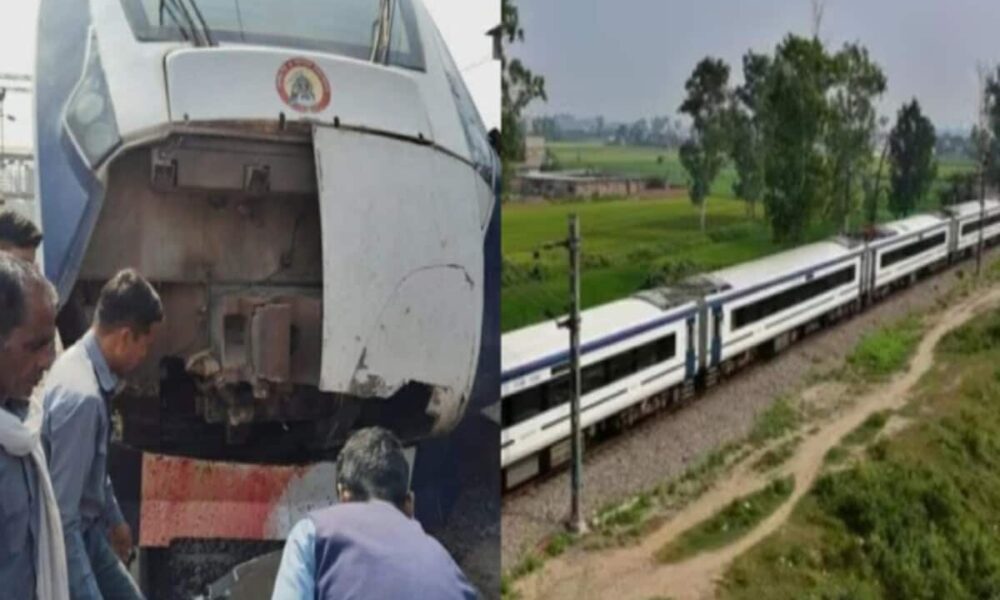 vande bharat train accident collision with bull broken front part in muraina madhya pradesh