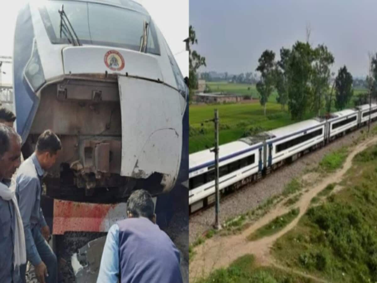 vande bharat train accident collision with bull broken front part in muraina madhya pradesh vande bharat train accident collision with bull broken front part in muraina madhya pradesh