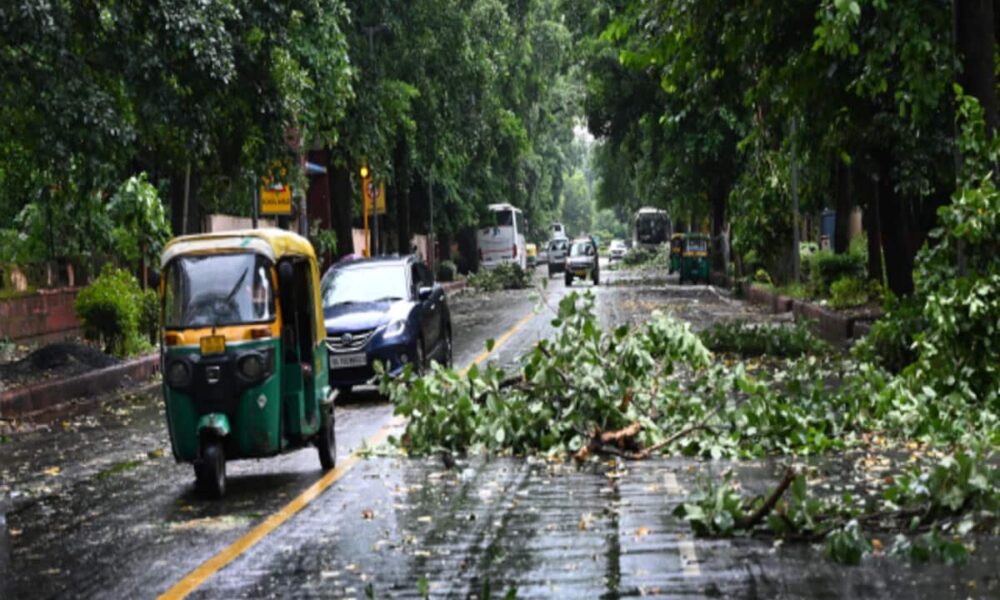mp weather report rainfall thunderstorm alert in mp know madhya pradesh mausam ka hal