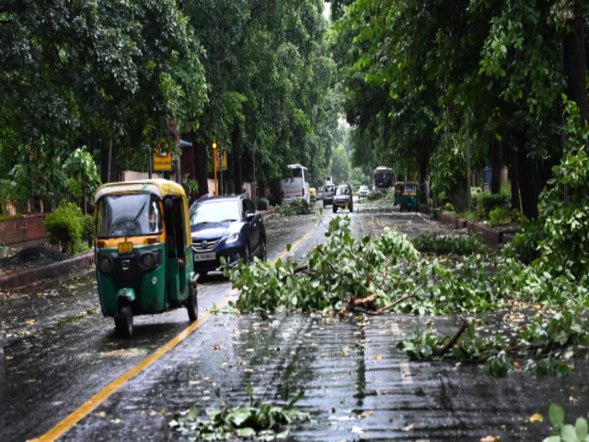 mp weather report rainfall thunderstorm alert in mp know madhya pradesh mausam ka hal mp weather report rainfall thunderstorm alert in mp know madhya pradesh mausam ka hal