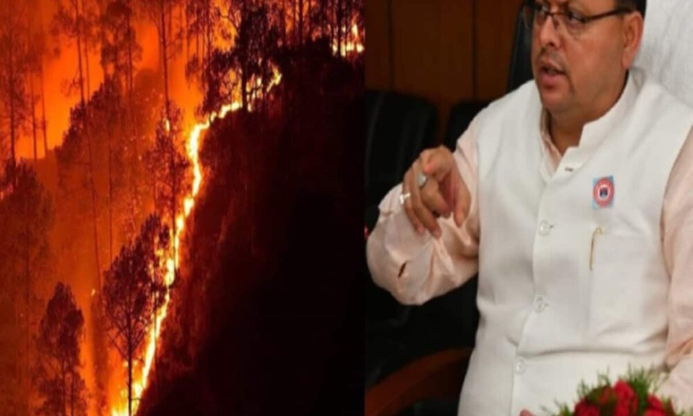 जंगलों में जान बूझकर आग लगाना अब नहीं आसान, धामी सरकार का होगा सख्त ऐक्शन