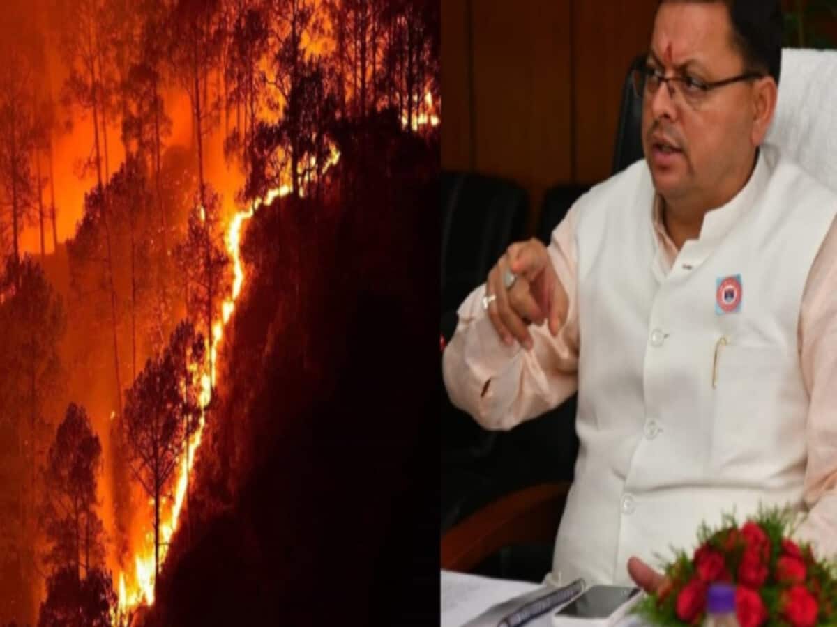 जंगलों में जान बूझकर आग लगाना अब नहीं आसान, धामी सरकार का होगा सख्त ऐक्शन जंगलों में जान बूझकर आग लगाना अब नहीं आसान, धामी सरकार का होगा सख्त ऐक्शन