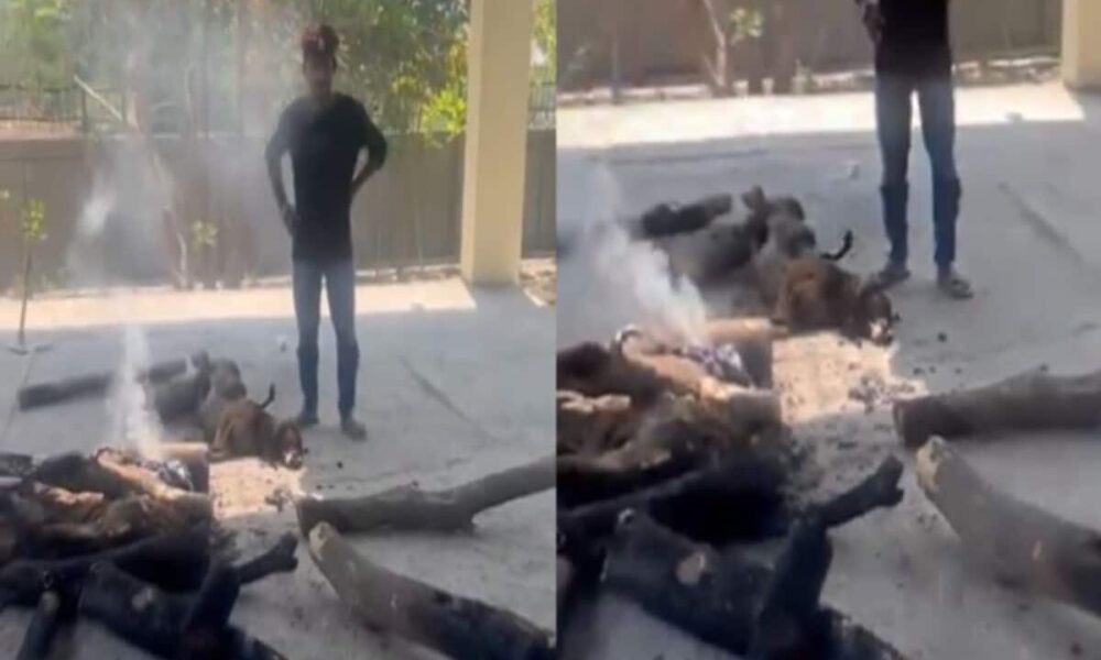 नोएडा के श्मशान में कुत्ते का हुआ अंतिम संस्कार, VIDEO देख भड़क गई जनता; सोशल मीडिया पर आए ऐसे-ऐसे कमेंट