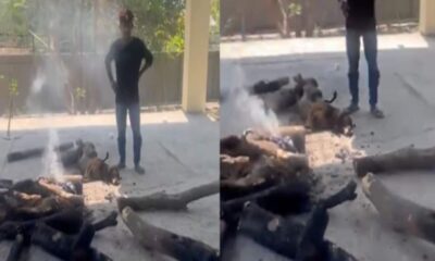 नोएडा के श्मशान में कुत्ते का हुआ अंतिम संस्कार, VIDEO देख भड़क गई जनता; सोशल मीडिया पर आए ऐसे-ऐसे कमेंट