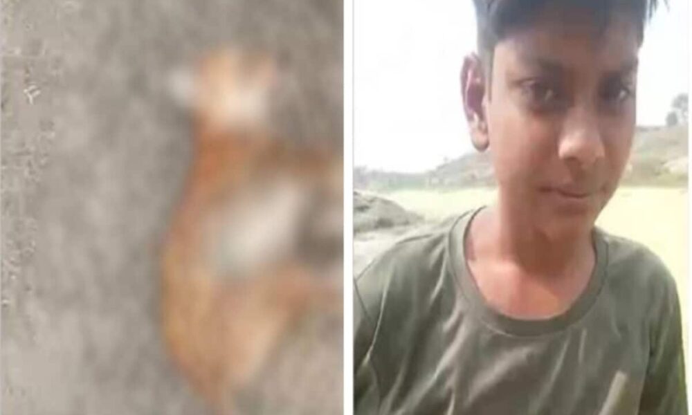 कुत्ते को पत्थर से पीट-पीट कर मार डाला, हंसते हुए हैवानों का वीडियो वायरल