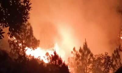 उत्तराखंड में जंगल को आग से धधकाने की कोशिश, 5 गिरफ्तार, अब तक 196 पर केस