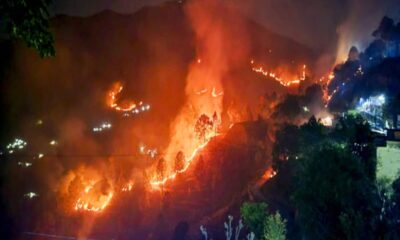उत्तराखंड: जंगल की आग बुझाने में NDRF भी जुटी, वन अधिकारियों को नहीं मिलेंगी छुट्टियां