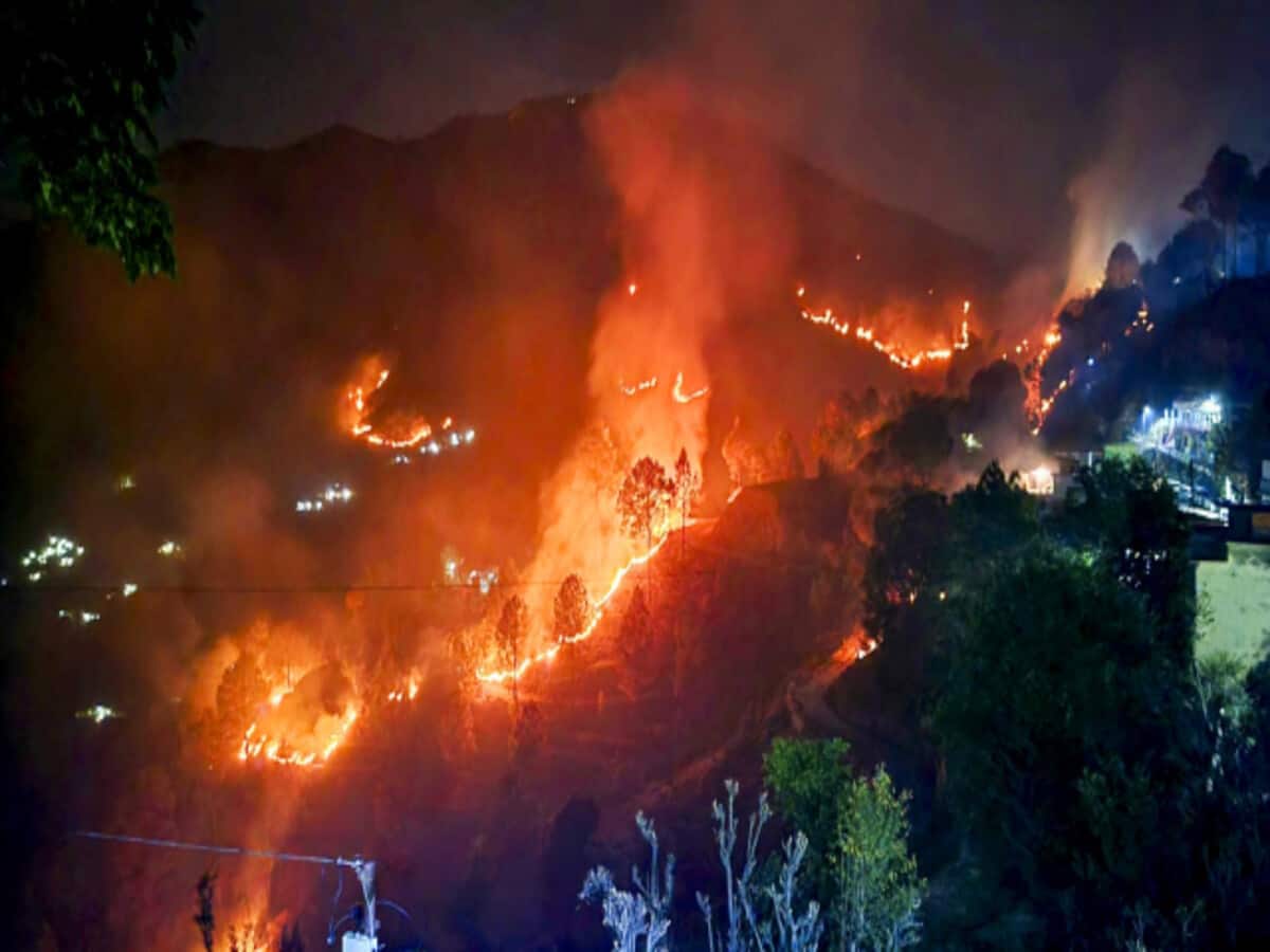 उत्तराखंड: जंगल की आग बुझाने में NDRF भी जुटी, वन अधिकारियों को नहीं मिलेंगी छुट्टियां उत्तराखंड: जंगल की आग बुझाने में NDRF भी जुटी, वन अधिकारियों को नहीं मिलेंगी छुट्टियां