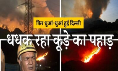 ghazipur landfill site fire continues 10 fire brigades are at work – दिल्ली में क्यों नहीं बुझ रही कूड़े के पहाड़ की आग, दमकल कर्मियों ने बताई खौफनाक वजह