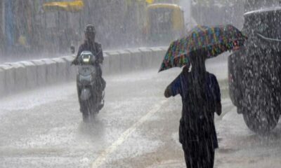 MP में अगले तीन दिनों में बदलेगा मौसम, बारिश के साथ गिरेंगे ओले, IMD ने जारी किया अलर्ट