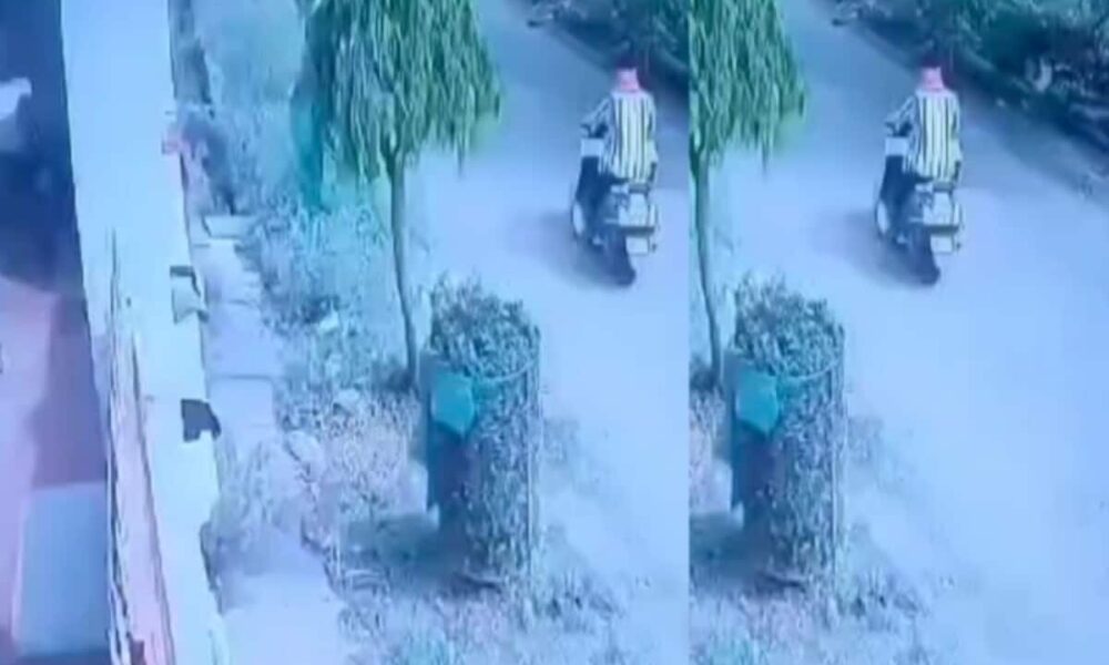 पैसा सोना चांदी नहीं, रस्सी पर टंगे अंडरगारमेंट्स उड़ा रहे चोर, पुलिस भी हैरान, VIDEO वायरल