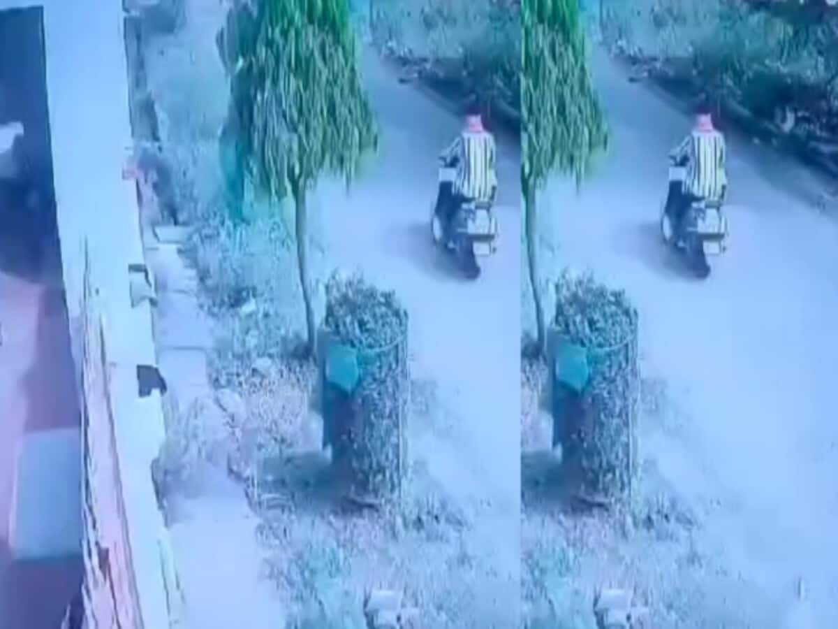 पैसा सोना चांदी नहीं, रस्सी पर टंगे अंडरगारमेंट्स उड़ा रहे चोर, पुलिस भी हैरान, VIDEO वायरल पैसा सोना चांदी नहीं, रस्सी पर टंगे अंडरगारमेंट्स उड़ा रहे चोर, पुलिस भी हैरान, VIDEO वायरल