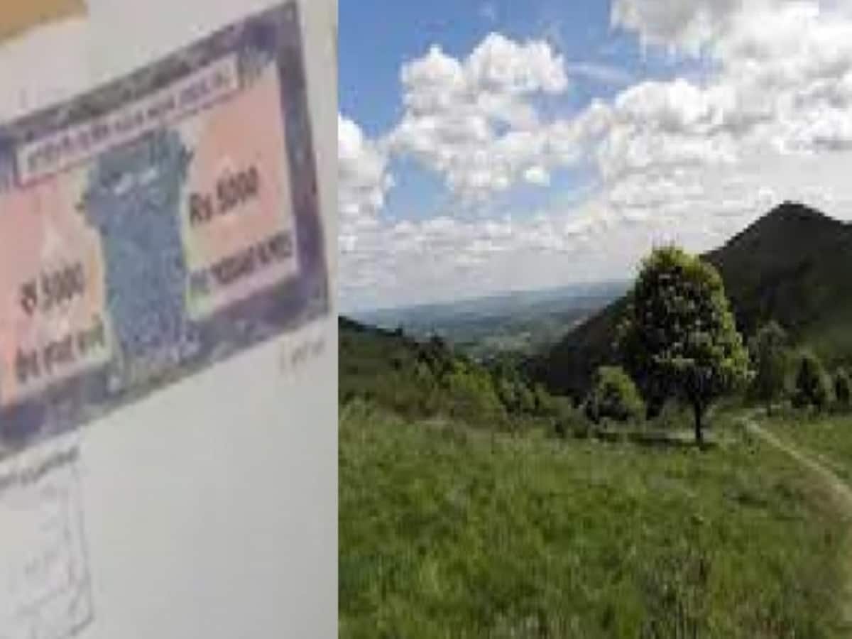 10 साल में हुई रजिस्ट्रियों की होगी जांच, खुलेगा बड़ा खेल 10 साल में हुई रजिस्ट्रियों की होगी जांच, खुलेगा बड़ा खेल