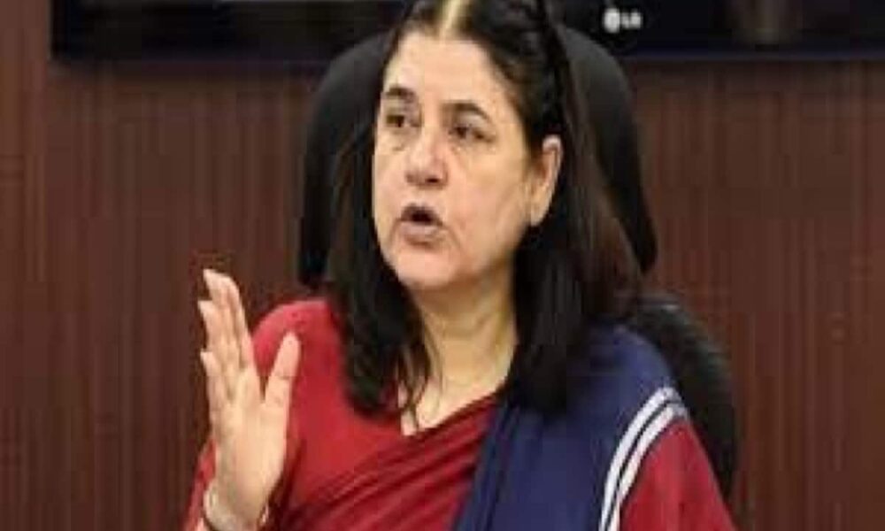 Loksabha Elections 2024 UP Sultanpur Maneka Gandhi on Varun Gandhi Contesting Elections Said not leaving BJP – मेनका गांधी ने लगाए वरुण गांधी के चुनाव लड़ने की अटकलों पर विराम, कहा