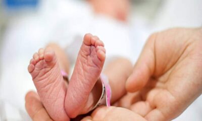 झाड़ियों में मिले बच्चे की बदलने वाली है किस्मत, US कपल लेगा गोद; जानवरों ने नोंचकर शरीर पर किए थे घाव