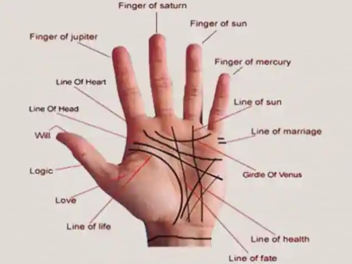 Palmistry Sign Of Luck and Wealth : These lines and symbols on Palm are considered as goodluck in life