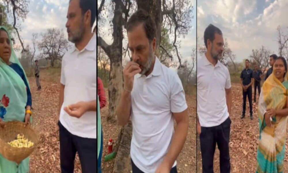 controversy on rahul gandhi eating mahua congress attack on cm mohan yadav jibe – राहुल गांधी के महुआ खाने पर सियासत, मोहन यादव बोले- पता चला उनका शौक, कांग्रेस का पलटवार