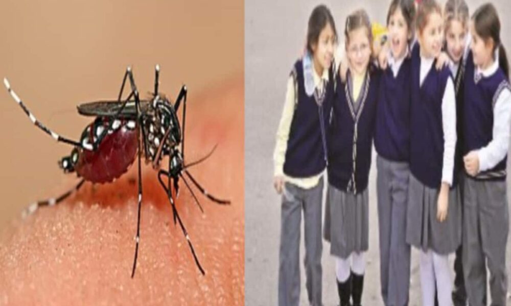 गर्मी बढ़ने के साथ ही बढ़ने लगी टेंशन, डेंगू पर स्कूल अलर्ट; बच्चे फुल स्लीव ड्रेस में ही आएं
