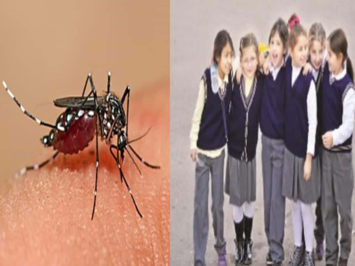 गर्मी बढ़ने के साथ ही बढ़ने लगी टेंशन, डेंगू पर स्कूल अलर्ट; बच्चे फुल स्लीव ड्रेस में ही आएं गर्मी बढ़ने के साथ ही बढ़ने लगी टेंशन, डेंगू पर स्कूल अलर्ट; बच्चे फुल स्लीव ड्रेस में ही आएं