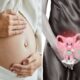 Is it normal to have vaginal discharge during pregnancy Know here