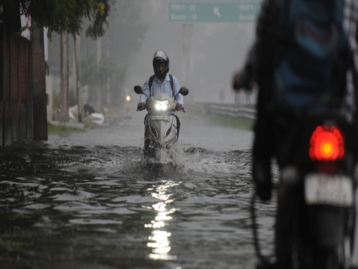 chhattisgarh mausam yellow alert for rain know imd chhattisgarh weather forecast