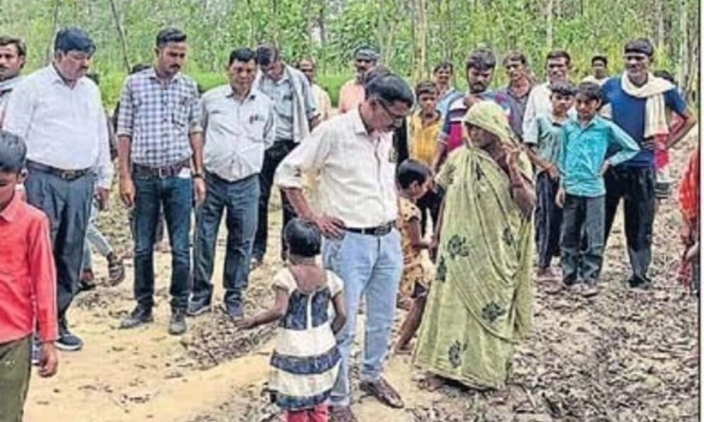 बरेली में जंगली जानवर ने पांच को काटा, वन विभाग ने कहा सियार, लोग बोले भेड़िया; अलर्ट जारी