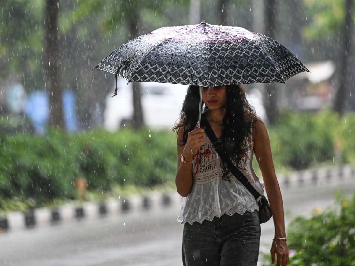 मध्य प्रदेश में 2 दिन मौसम रहेगा खराब, IMD का यलो अलर्ट, किन जिलों में होगी झमाझम बारिश? मध्य प्रदेश में 2 दिन मौसम रहेगा खराब, IMD का यलो अलर्ट, किन जिलों में होगी झमाझम बारिश?