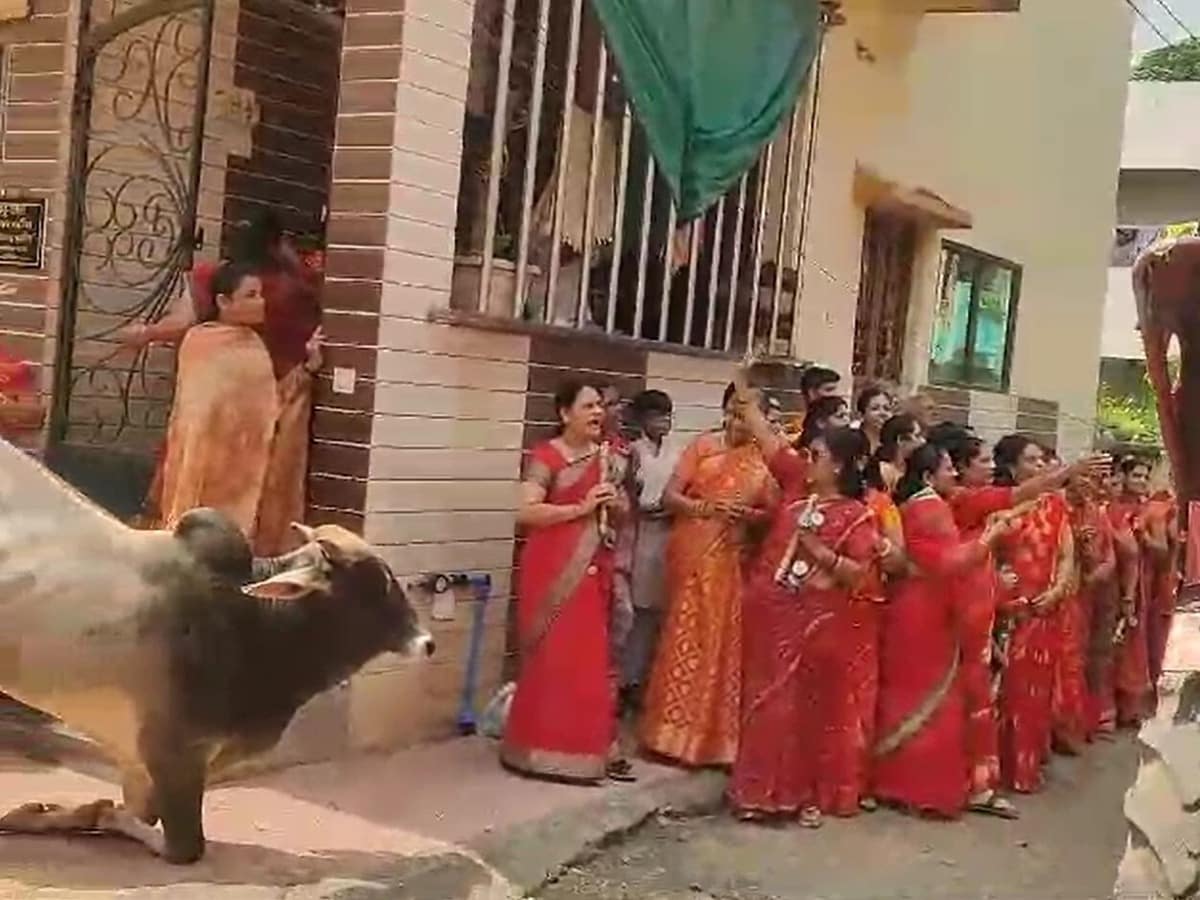 गणेश विसर्जन के दौरान घुटनों के बल रहा सांड, नतमस्तक हुए नंदी का वीडियो वायरल गणेश विसर्जन के दौरान घुटनों के बल रहा सांड, नतमस्तक हुए नंदी का वीडियो वायरल