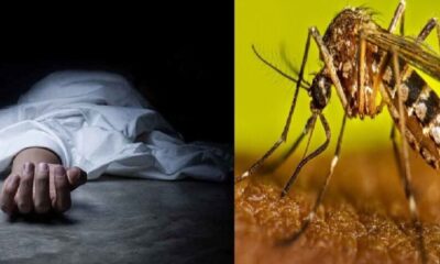 बरसाती मौत से बढ़ने लगे डेंगू के केस, हरिद्वार में सामने आए 3 केस, एक संदिग्ध मरीज की मोत