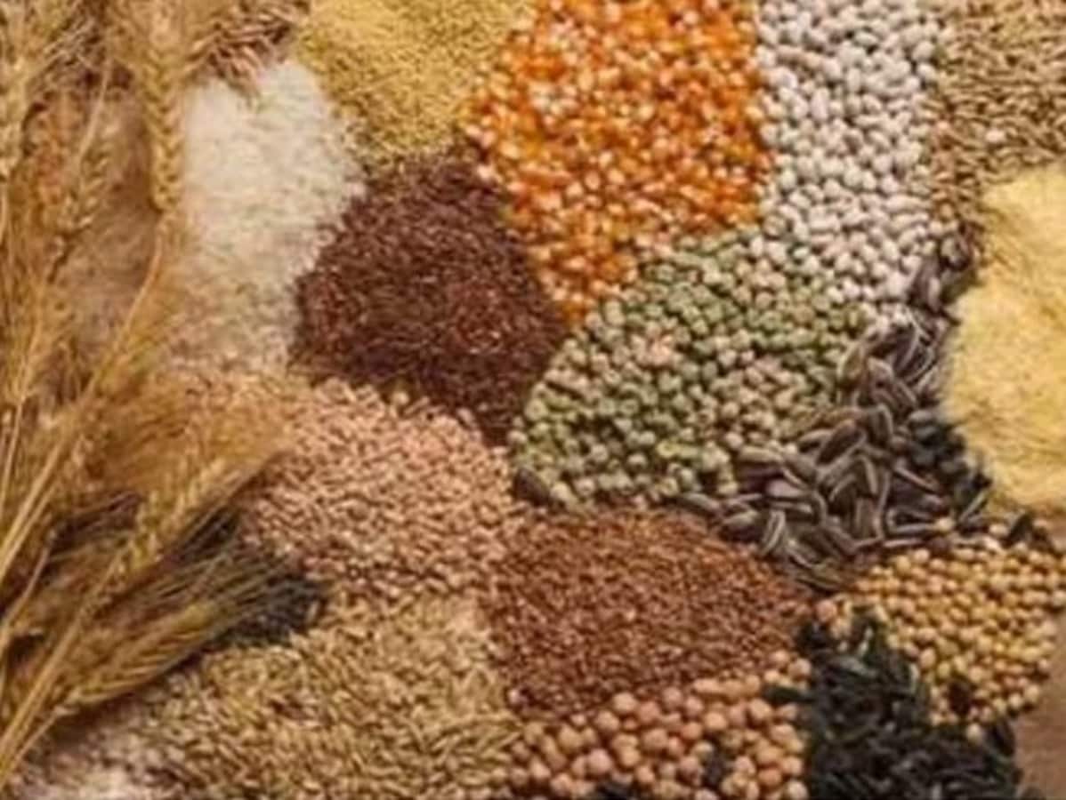 सरकार 1 अक्टूबर से खरीदेगी मोटा अनाज, बहराइच में फिर भेड़िए का हमला, उत्तर प्रदेश न्यूज़ सरकार 1 अक्टूबर से खरीदेगी मोटा अनाज, बहराइच में फिर भेड़िए का हमला, उत्तर प्रदेश न्यूज़